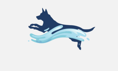 Peludos al agua
